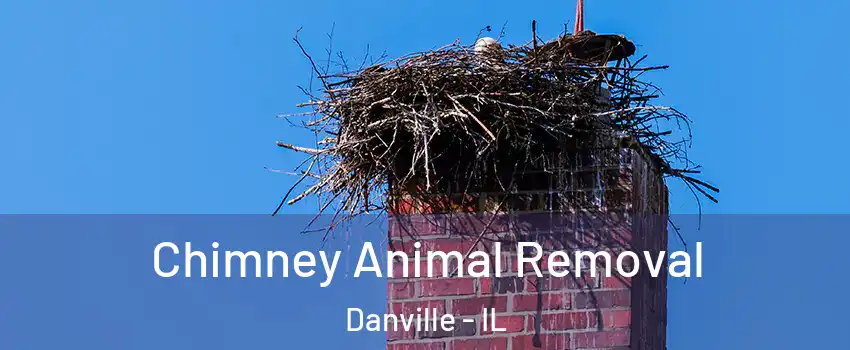 Chimney Animal Removal Danville - IL