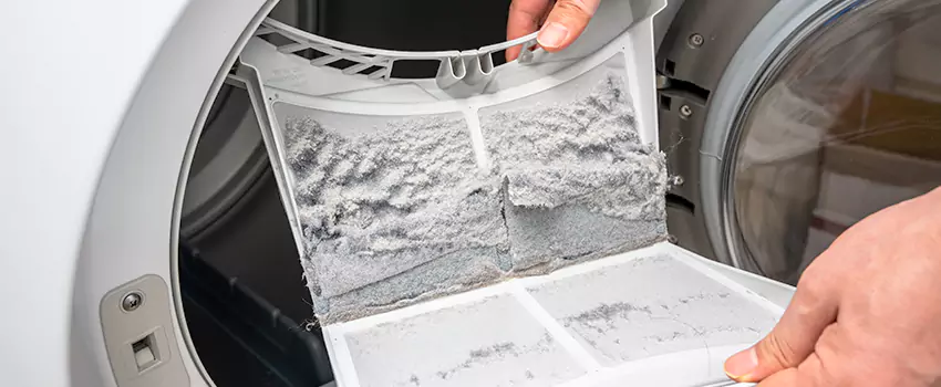 Best Dryer Lint Removal Company in Danville, Illinois