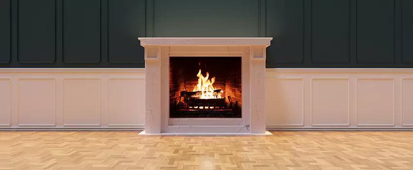 Napoleon Electric Fireplaces Inspection Service in Danville, Illinois