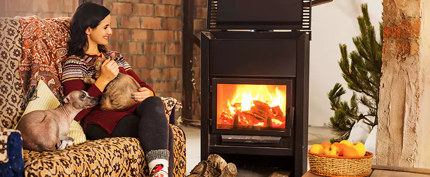 Wood Stove Chimney Cleaning Services in Danville, IL