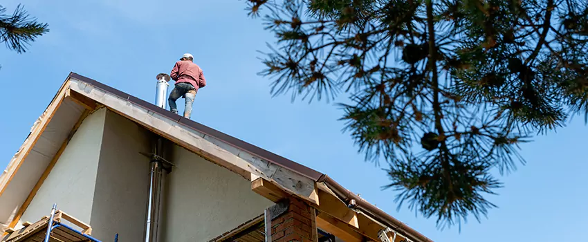 Birds Removal Contractors from Chimney in Danville, IL