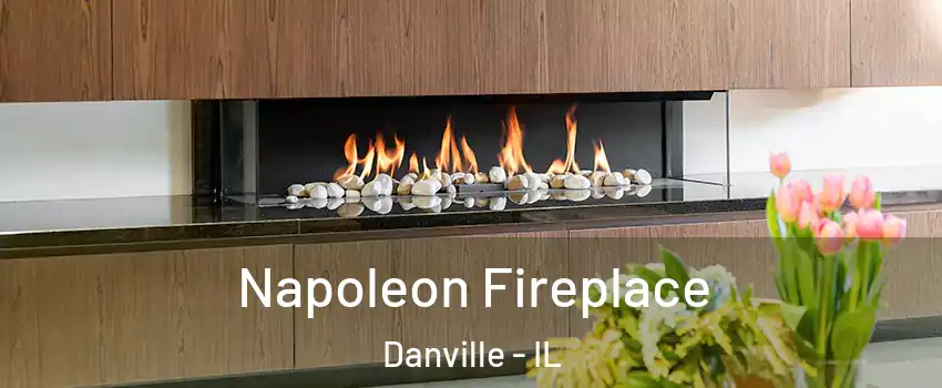  Napoleon Fireplace Danville - IL